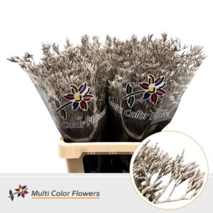 Limonium Metallic Beige – 70cm
