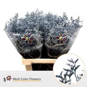 Limonium Metallic Blauw licht – 70cm