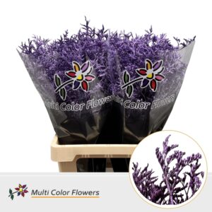 Limonium Metallic Milka – 70cm