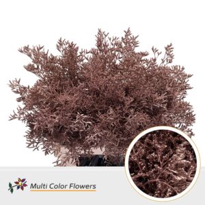 Limonium Rose Goud – 70cm