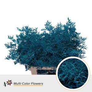 Limonium Turquoise – 70cm