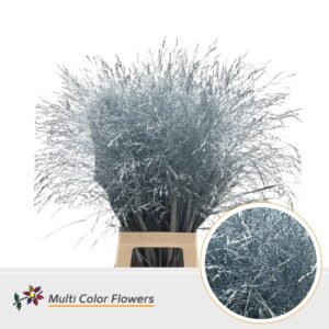 Panicum Blauw Licht metallic – 90cm
