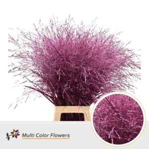 Panicum Erica metallic – 90cm