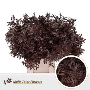 Pistache Bordeaux – 45cm