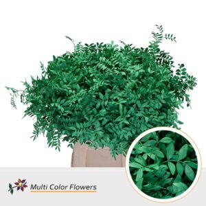 Pistache Groen Donker – 45cm