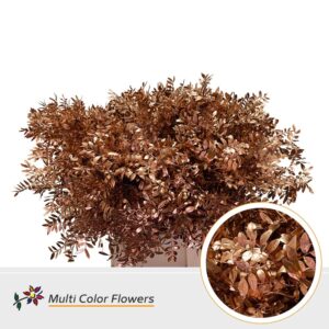 Pistache Koper – 45cm