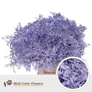 Pistache Milka – 45cm