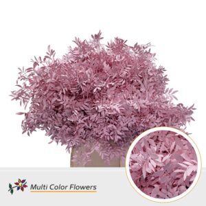 Pistache Rose licht – 45cm