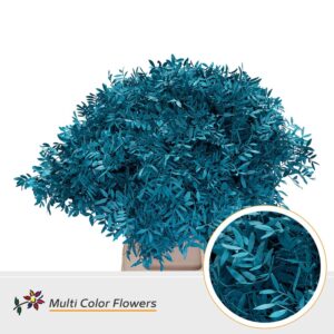 Pistache Turquoise – 45cm