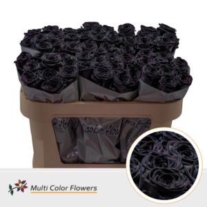 Rosa Red Naomi Zwart – 70cm