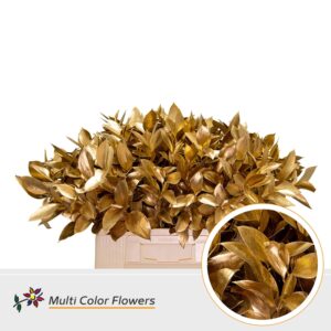 Ruscus Antique – 60cm