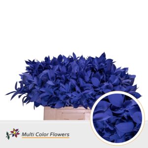 Ruscus Blauw donker – 60cm