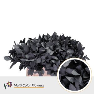 Ruscus Grijs – 60cm