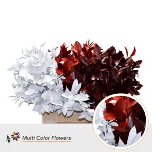 Ruscus Kerst Mix – 60cm
