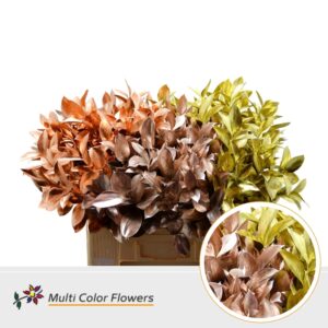 Ruscus Kerst Mix Metallic – 60cm