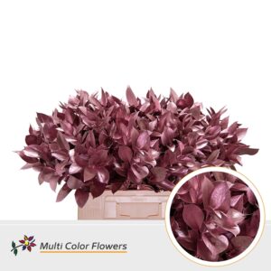 Ruscus Rose Goud – 60cm