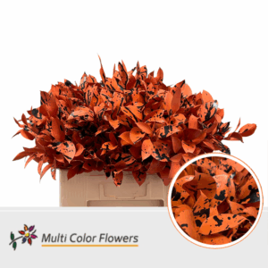 Ruscus Halloween Oranje Splash Zwart – 60cm