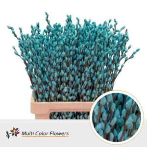 Salix Snowflake Blauw Licht – 70cm