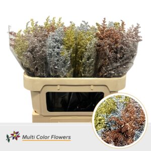 Solidago Kerst Metallic Mix – 70cm