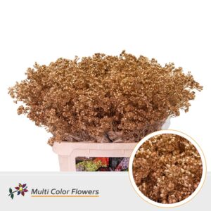 Wax Antique – 80cm