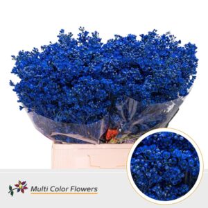 Wax Blauw donker – 60cm