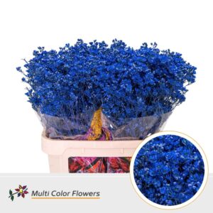 Wax Blauw donker – 80cm
