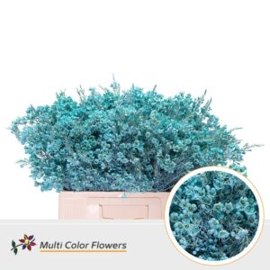 Wax Blauw licht – 60cm