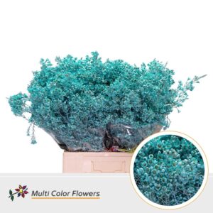 Wax Blauw licht – 70cm