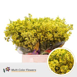 Wax Geel – 70cm