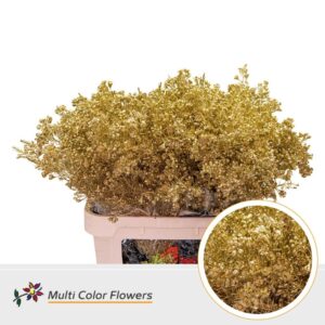 Wax Goud – 80cm