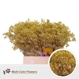 Wax Goud – 70cm