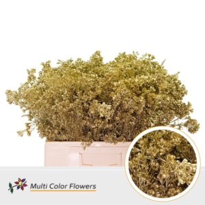 Wax Goud – 60cm