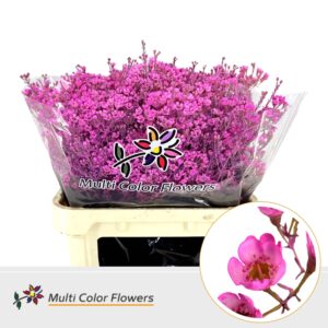 Wax Hot Pink – 80cm