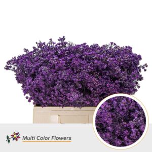 Wax Lila donker – 60cm
