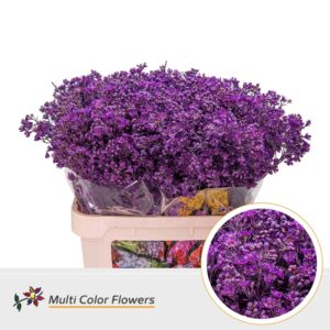 Wax Lila donker – 80cm