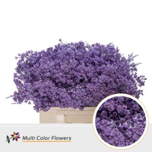 Wax Milka – 60cm