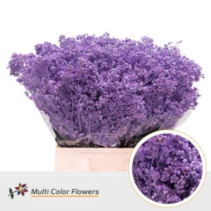 Wax Milka – 70cm