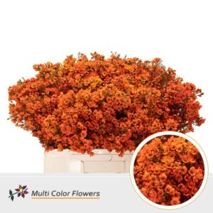 Wax Oranje – 60cm