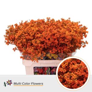 Wax Oranje – 80cm
