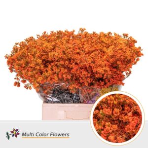 Wax Oranje – 70cm