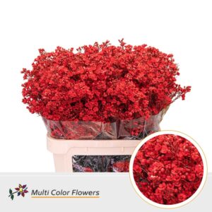 Wax Rood – 80cm