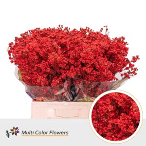 Wax Rood – 70cm