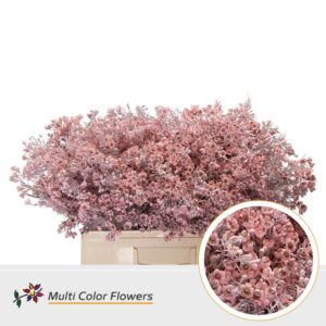 Wax Rose licht – 60cm