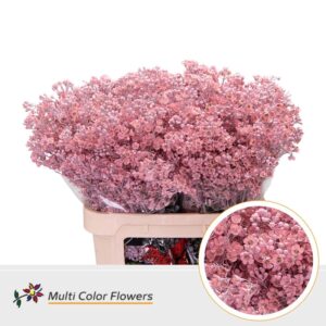 Wax Rose licht – 80cm
