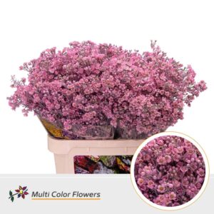 Wax Rose nieuw – 80cm