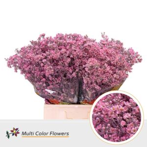Wax Rose nieuw – 70cm