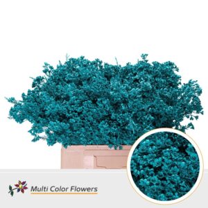 Wax Turquoise – 60cm