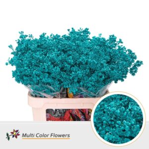 Wax Turquoise – 80cm