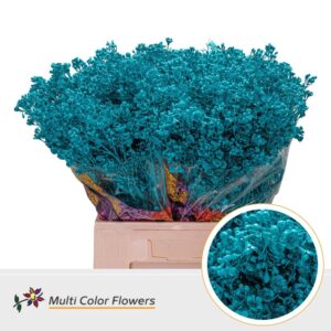 Wax Turquoise – 70cm