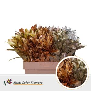 Laurier Mix Kerst – 60cm